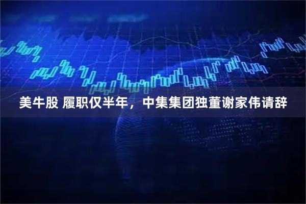 美牛股 履职仅半年，中集集团独董谢家伟请辞